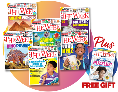 Updated Collection of Week Junior Covers with Mind Twisting Puzzle