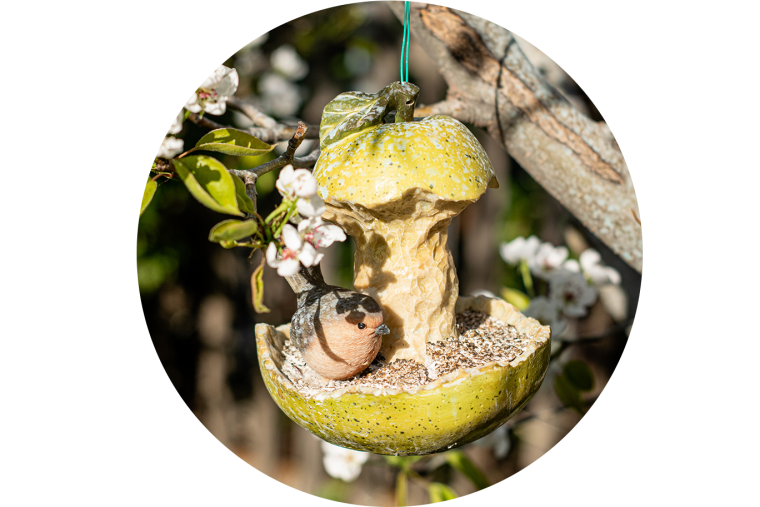 Apple Bird Feeder