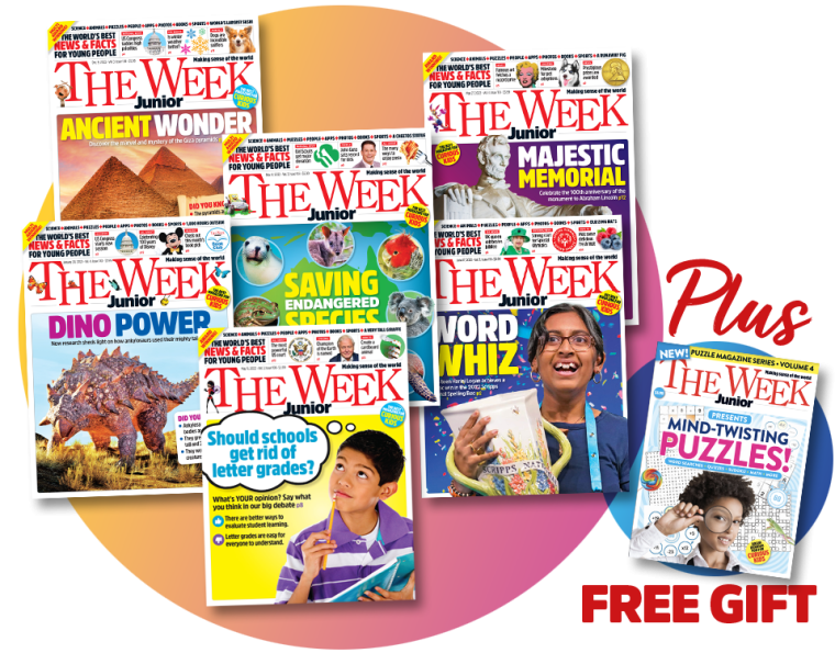 Collection of Week Junior Magazines and Mind Twisting Puzzles